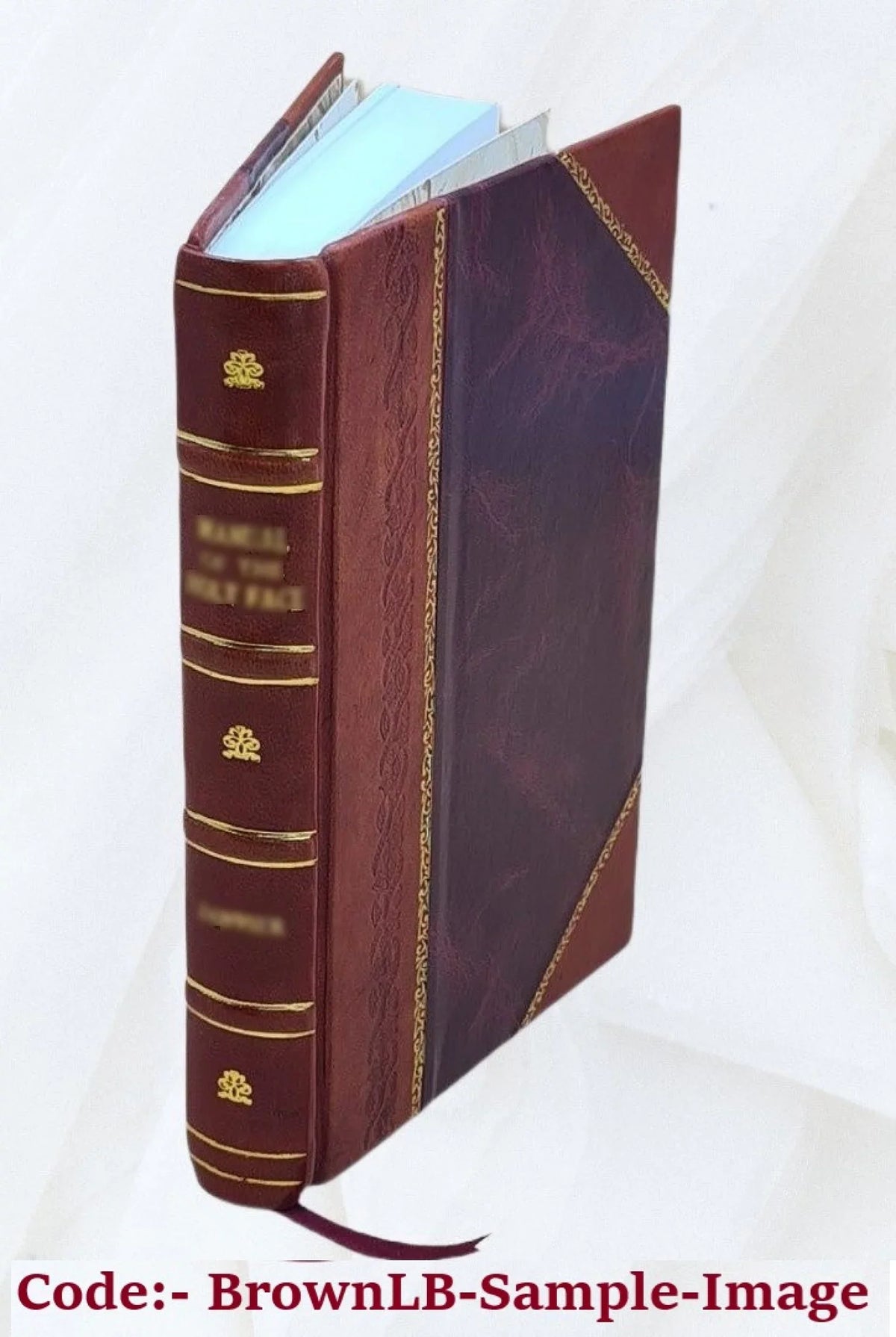 Bibliographie étrangère, ou Indicateur raisonné des livres nouveaux en tous genres. Volume 1815 1815 [Leather Bound]