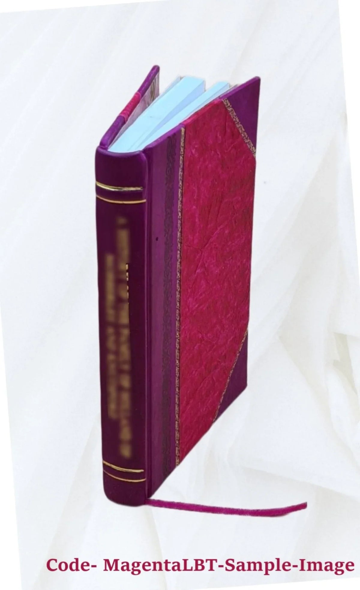 Reynard the fox : or, The Ghost Heath run 1920 [Leather Bound]