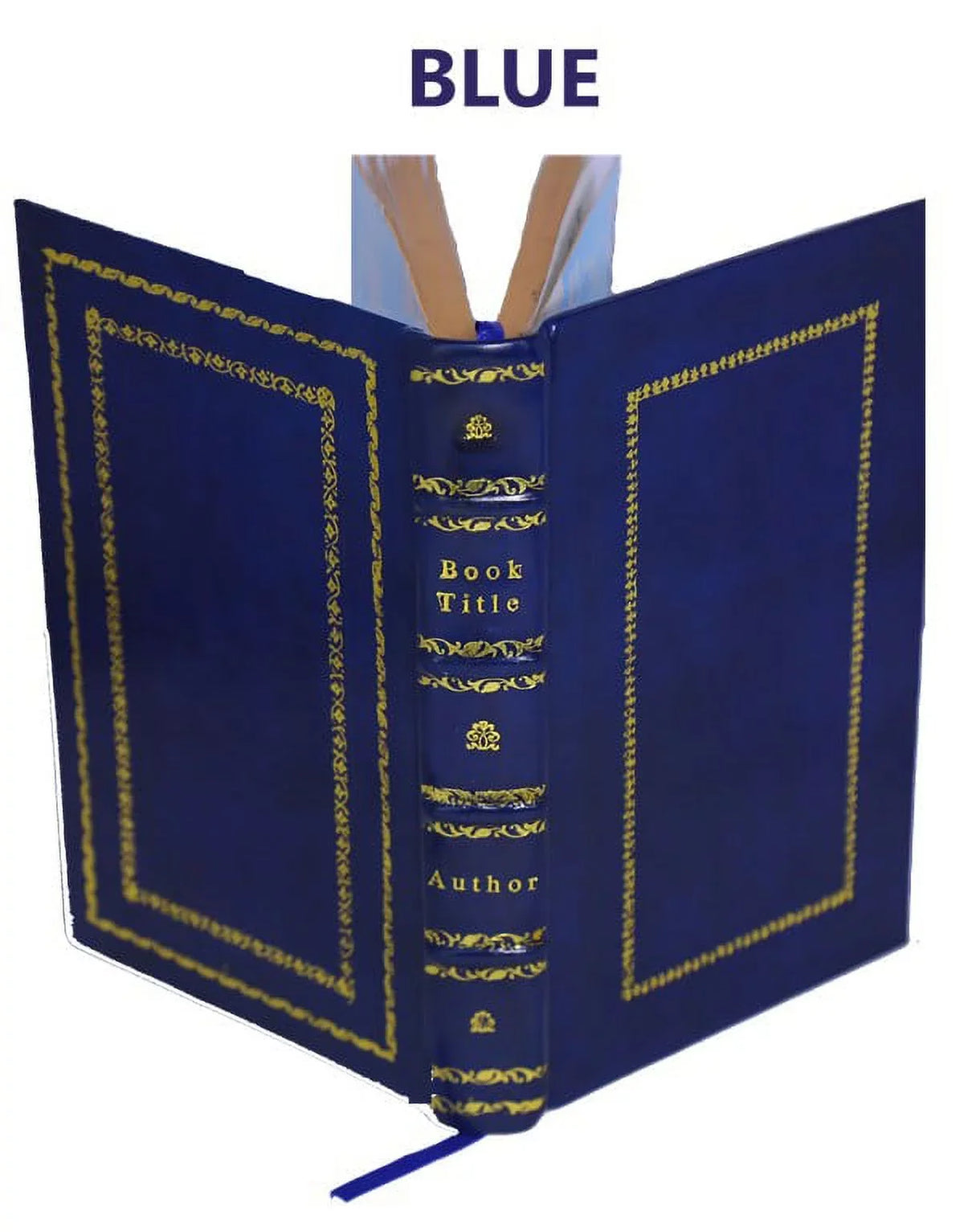 Les Vies des S.S. Peres des deserts et saintes solitaires d'Orient et d'Occident Volume 2 1714 [Premium Leather Bound]
