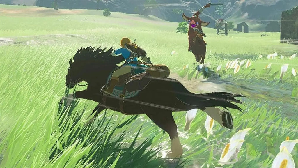 The Legend of Zelda: Tears of the Kingdom and Breath of the Wild Two Game Bundle - Nintendo Switch