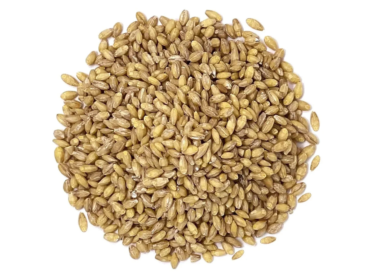 Organic Hulled Barley, 2 Pounds – Non-GMO, Kosher, Raw, Bulk Grain, Product of the USA – by Food to Live
