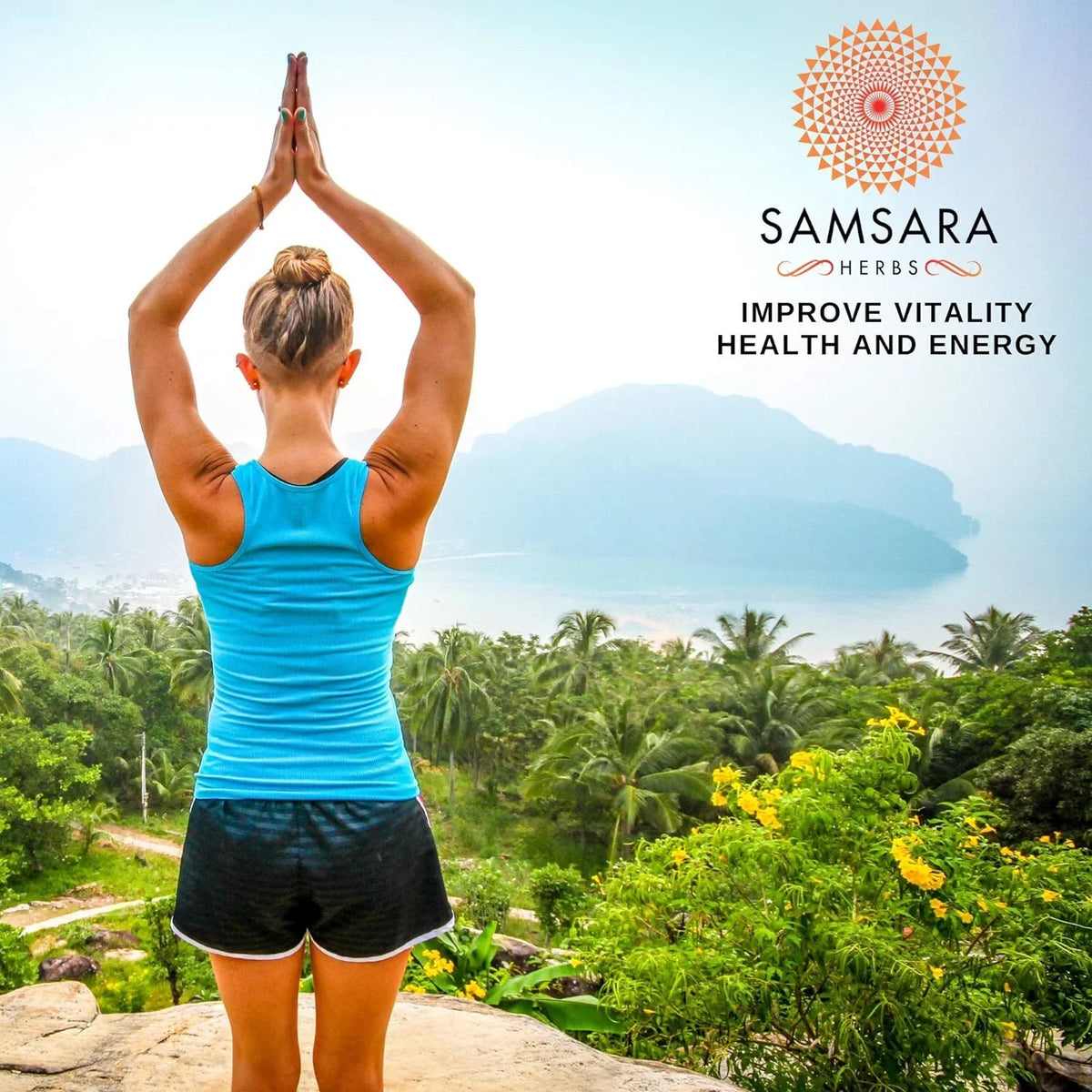 Samsara Herbs Tick Immune Support - The Original Herbal Formula (300 Capsules)