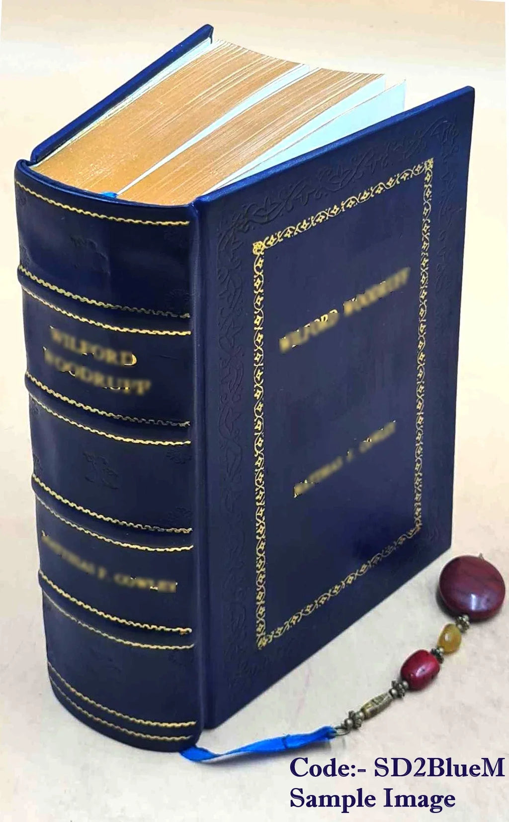 The eastern Alps, including the Bavarian highlands, Tyrol, Salzburg, Upper and Lower Austria, Styria, Carinthia, and Carniola: handbook for travellers 1907 [Premium Leather Bound]