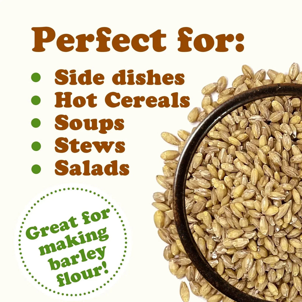 Organic Hulled Barley, 2 Pounds – Non-GMO, Kosher, Raw, Bulk Grain, Product of the USA – by Food to Live