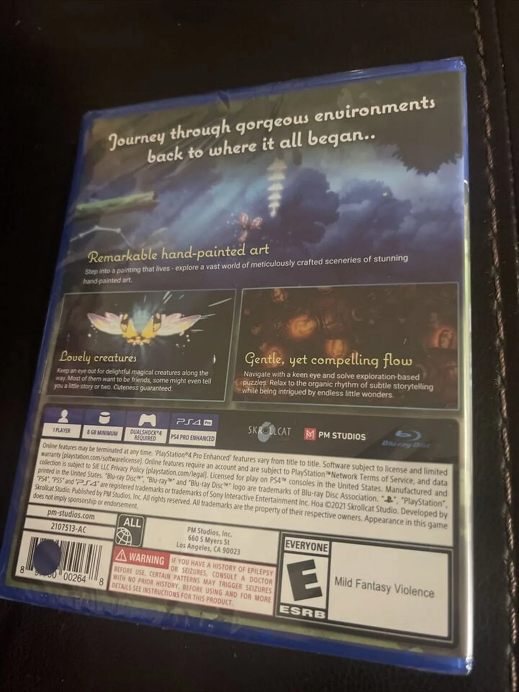 New Hoa - PS4, 2021