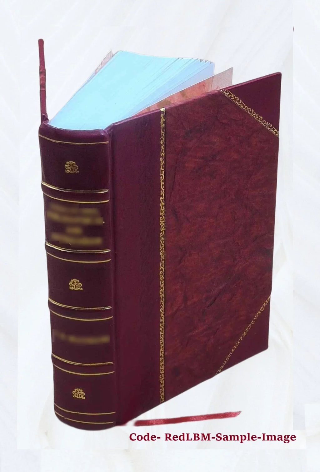 Memory 1926 [Leather Bound]