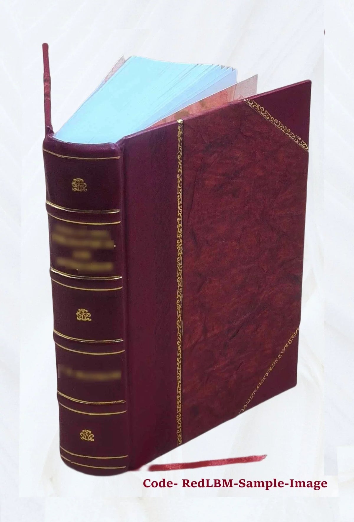 Memory 1926 [Leather Bound]