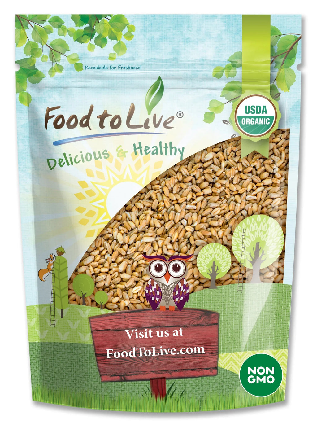 Organic Hulled Barley, 2 Pounds – Non-GMO, Kosher, Raw, Bulk Grain, Product of the USA – by Food to Live