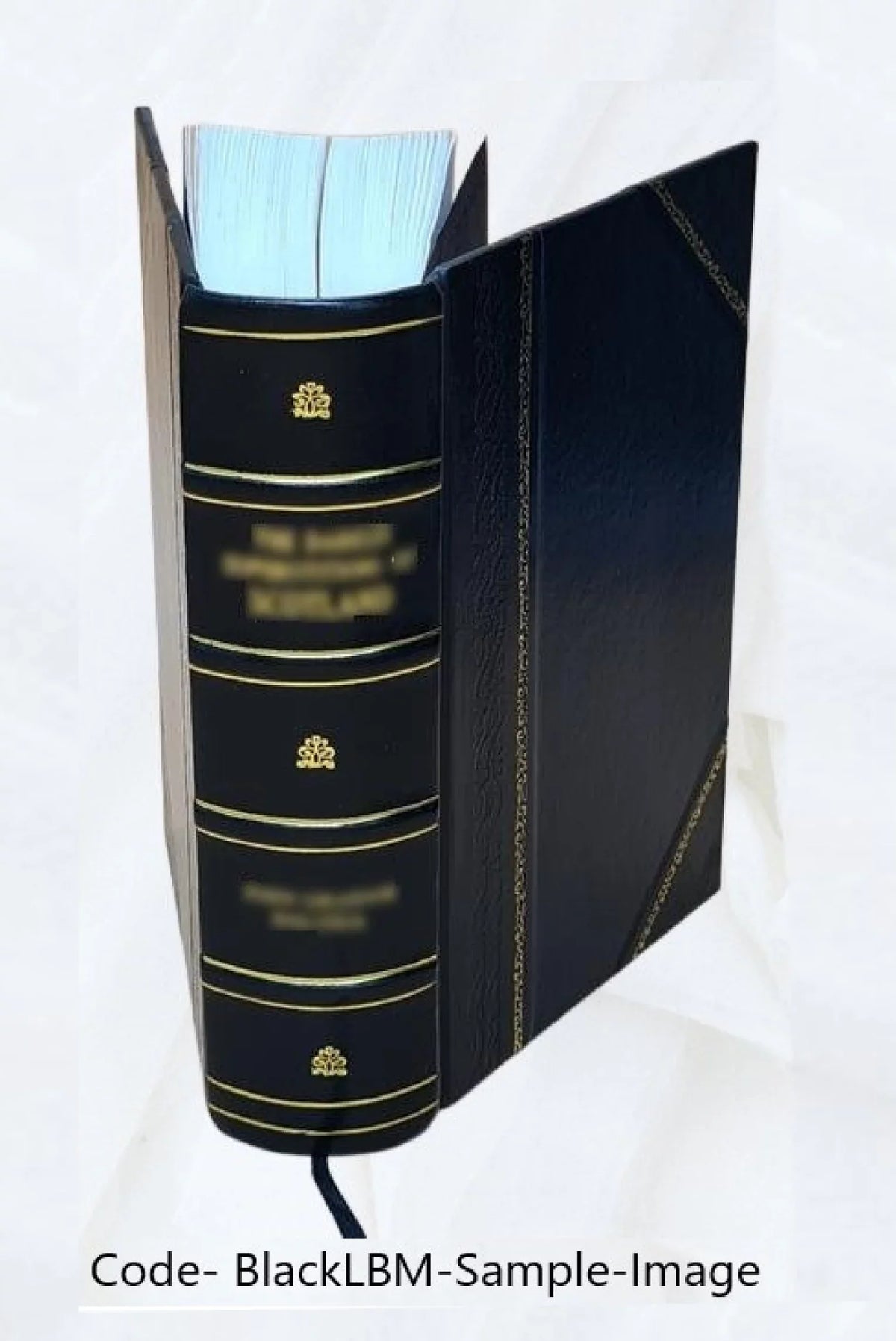 Memory 1926 [Leather Bound]